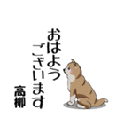 高柳さん用の名前スタンプ・子犬イラスト（個別スタンプ：17）
