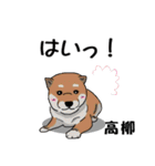 高柳さん用の名前スタンプ・子犬イラスト（個別スタンプ：22）
