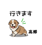 高柳さん用の名前スタンプ・子犬イラスト（個別スタンプ：30）