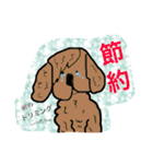 It's a dog's Monta（個別スタンプ：12）