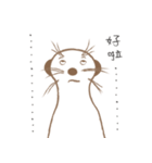 MoMo meerkat（個別スタンプ：3）