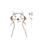MoMo meerkat（個別スタンプ：4）