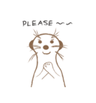 MoMo meerkat（個別スタンプ：5）