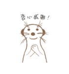 MoMo meerkat（個別スタンプ：9）