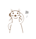 MoMo meerkat（個別スタンプ：10）