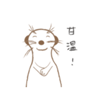 MoMo meerkat（個別スタンプ：11）