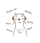 MoMo meerkat（個別スタンプ：12）