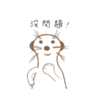 MoMo meerkat（個別スタンプ：14）