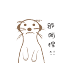 MoMo meerkat（個別スタンプ：21）