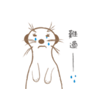 MoMo meerkat（個別スタンプ：22）