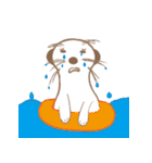 MoMo meerkat（個別スタンプ：23）