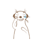 MoMo meerkat（個別スタンプ：29）