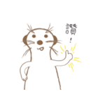 MoMo meerkat（個別スタンプ：34）