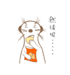 MoMo meerkat（個別スタンプ：38）