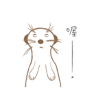 MoMo meerkat（個別スタンプ：40）