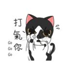 Perspective Of Ailurophile- Cats for You（個別スタンプ：7）