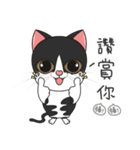 Perspective Of Ailurophile- Cats for You（個別スタンプ：8）