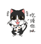 Perspective Of Ailurophile- Cats for You（個別スタンプ：13）