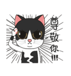 Perspective Of Ailurophile- Cats for You（個別スタンプ：15）