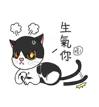 Perspective Of Ailurophile- Cats for You（個別スタンプ：20）