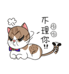 Perspective Of Ailurophile- Cats for You（個別スタンプ：21）