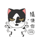 Perspective Of Ailurophile- Cats for You（個別スタンプ：25）