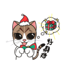 Christmas And New Year With Cats TWN（個別スタンプ：1）
