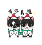 Christmas And New Year With Cats TWN（個別スタンプ：5）