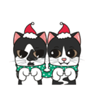 クリスマスの猫（個別スタンプ：5）