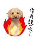 The Dog-Yuan Yuan（個別スタンプ：8）