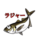 魚大好き、釣り大好き（個別スタンプ：2）