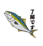 魚大好き、釣り大好き（個別スタンプ：3）