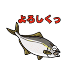 魚大好き、釣り大好き（個別スタンプ：6）