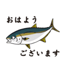 魚大好き、釣り大好き（個別スタンプ：19）