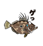 魚大好き、釣り大好き（個別スタンプ：40）