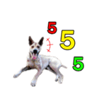 Daimodthasoodchuen2 kub dog 3 saap（個別スタンプ：5）