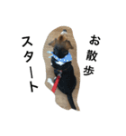 ビーグル犬のアトム（個別スタンプ：19）