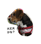 ビーグル犬のアトム（個別スタンプ：21）