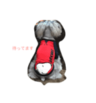 Himeスタンプ（個別スタンプ：3）