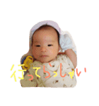 てったんスタンプ（個別スタンプ：14）