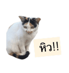 Temple Animals（個別スタンプ：23）