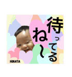 ぴなこスタンプ 5（個別スタンプ：1）