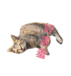 療癒猫（個別スタンプ：3）