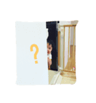 emaccochan sticker（個別スタンプ：5）