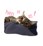 Emma with cute cat＆dog（個別スタンプ：7）