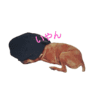 ドギーとルー。（個別スタンプ：12）