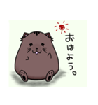nichijou.yuruyuru（個別スタンプ：1）