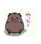 nichijou.yuruyuru（個別スタンプ：14）
