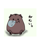 nichijou.yuruyuru（個別スタンプ：16）