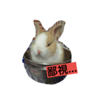 Pet Pet Pets（個別スタンプ：2）